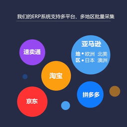 亚马逊采集上传erp软件系统专业定制部署搭oem贴牌